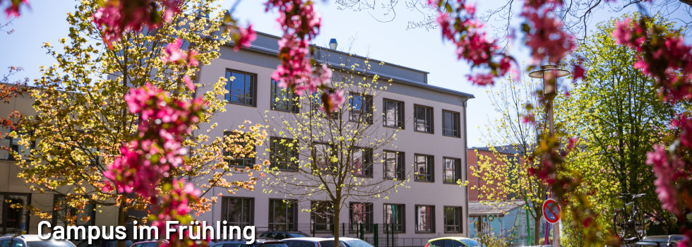 Header - Campus im Frühling