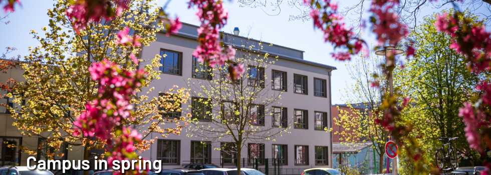 Header - Campus in spring